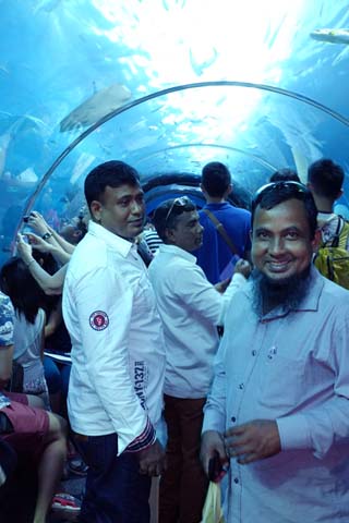 Discover Singapore brought a busload of delighted workers to the SEA Aquarium in 2014